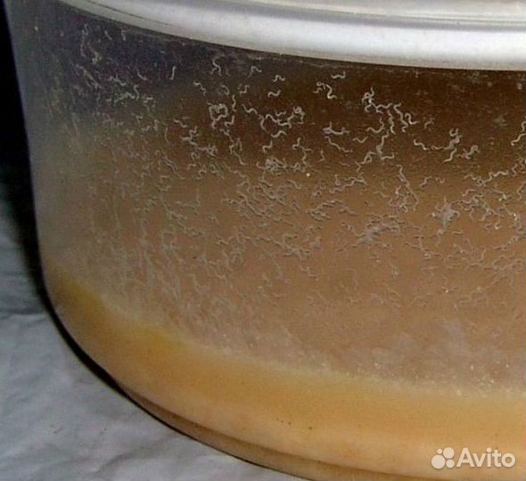 Корм для рыбок(тетрамин,таблетки,уксусная угрица)