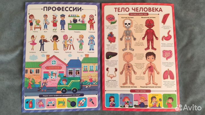 Набор обучающих плакатов