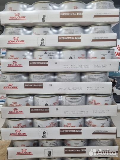 Корм для котят и щенков royal canin gastro