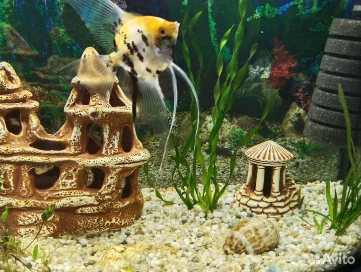 Грот для аквариума большой