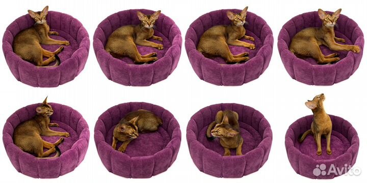 Лежанка для кошек и мелких собак