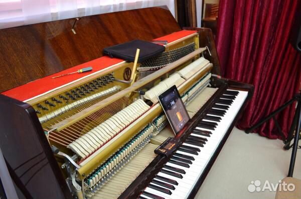 Настройщик пианино и роялей