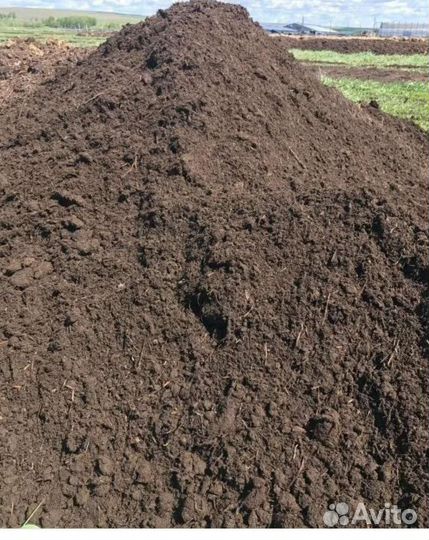 Земля чернозем