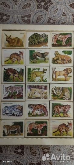 Набор спичек СССР