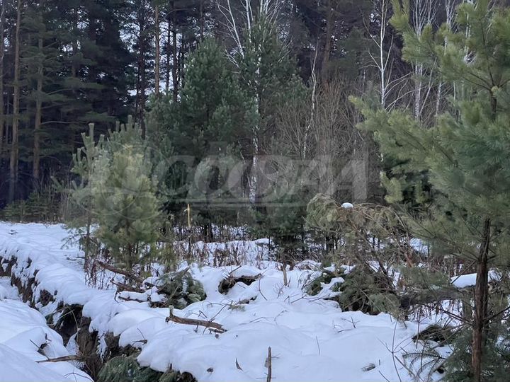 Участок 11 сот. (ИЖС)