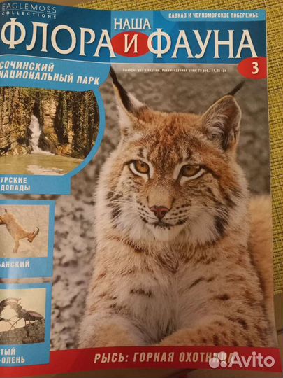 Наша флора и фауна