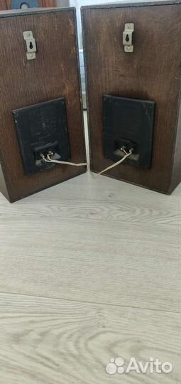 Акустическая система Радиотехника s30