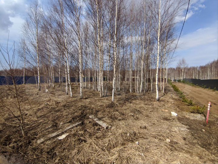 Участок 13,5 сот. (ИЖС)