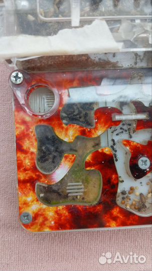 Муравьиная ферма