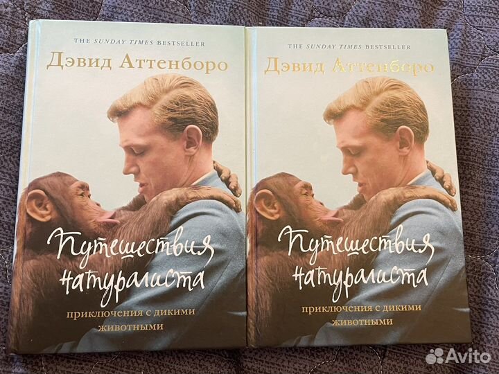 Дэвид аттенборо книги. Дэвид Аттенборо путешествие натуралиста. Интервью с вампиром Энн Райс книга. Путешествие с Аттенборо. Энн Райс интервью с вампиром купить.