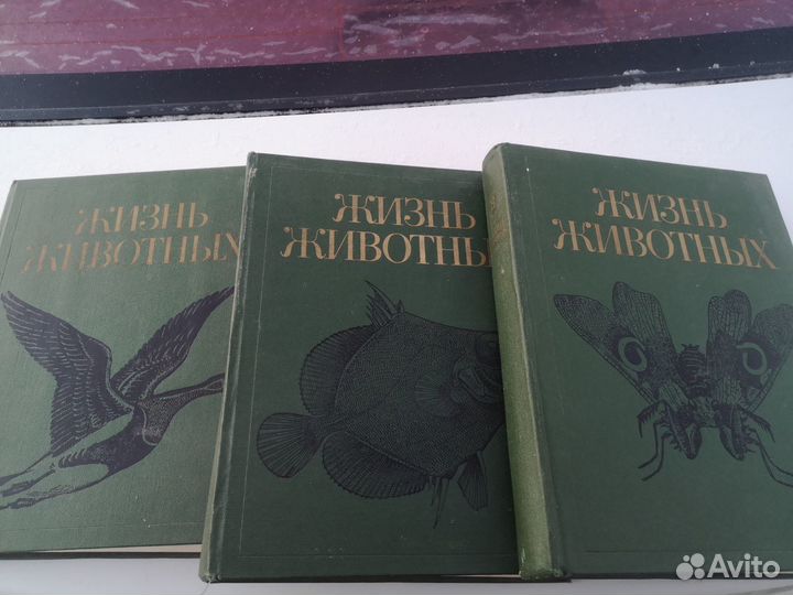 Энциклопедия 