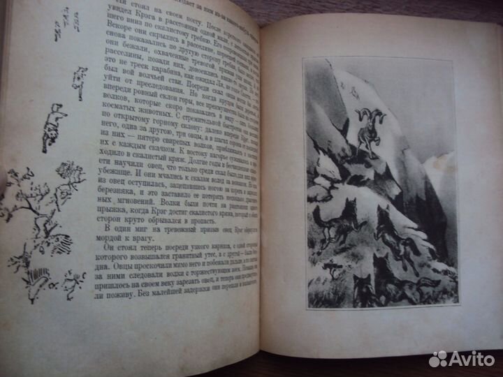 Сетон - Томпсон Э.Животные герои. Рассказы о живот