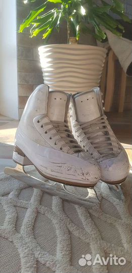 Фигурные коньки risport