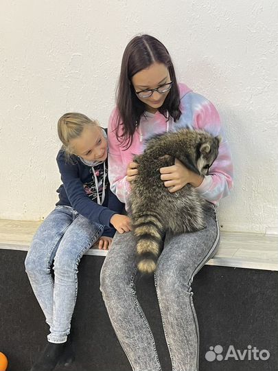 Няня для ребенка