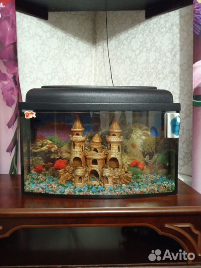 Аквариум