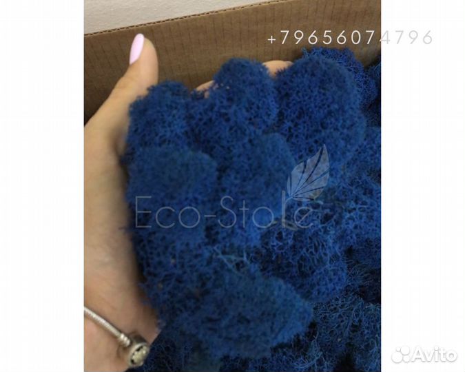 Стабилизированный мох