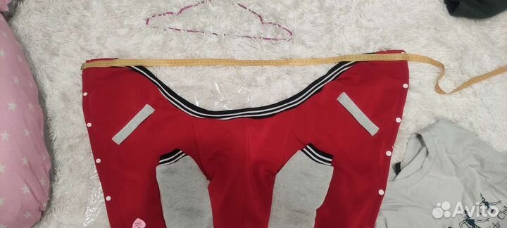 Одежда для собак