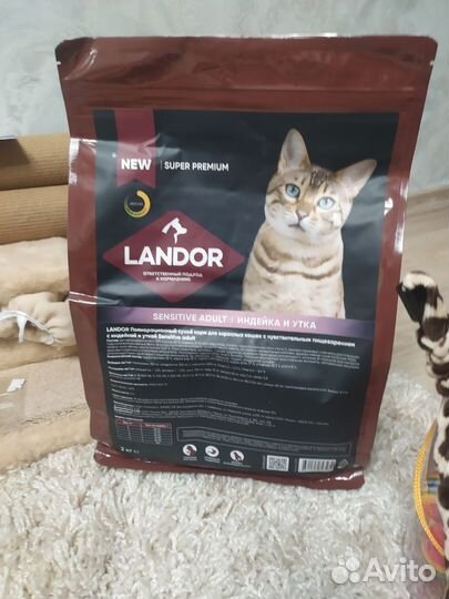 Лоток, игрушки, корм кошачий