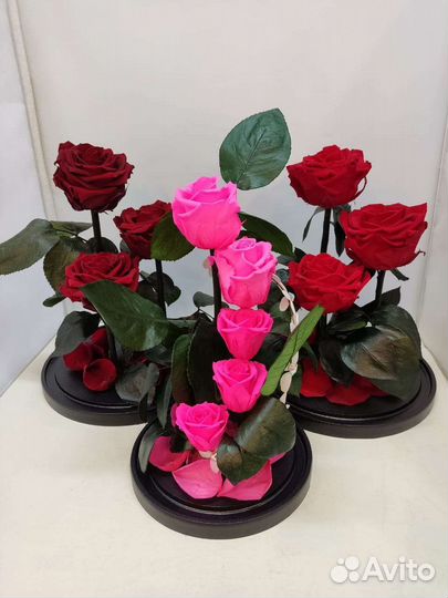 Подарок на новый год / Роза в колбе оптом