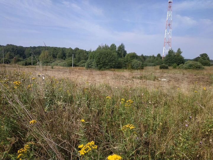 Участок 15 сот. (ИЖС)