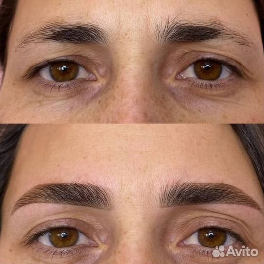 Обучение на бровиста