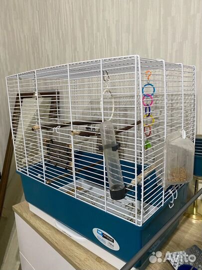 Клетка для попугая