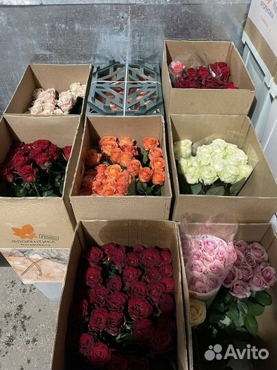 Розы без посредников. Букеты из роз 15 - 101шт