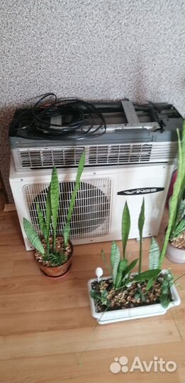 Сплит система wings