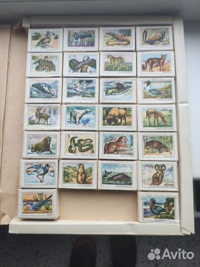 Спички коллекционные