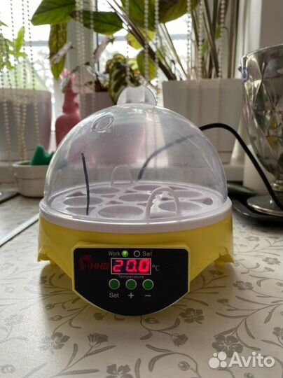 Инкубатор для яиц