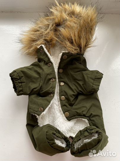 Одежда для собак