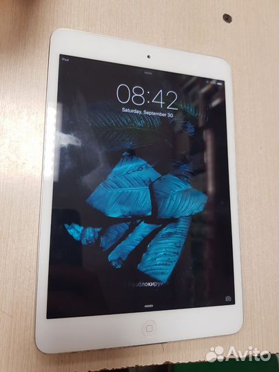 iPad mini