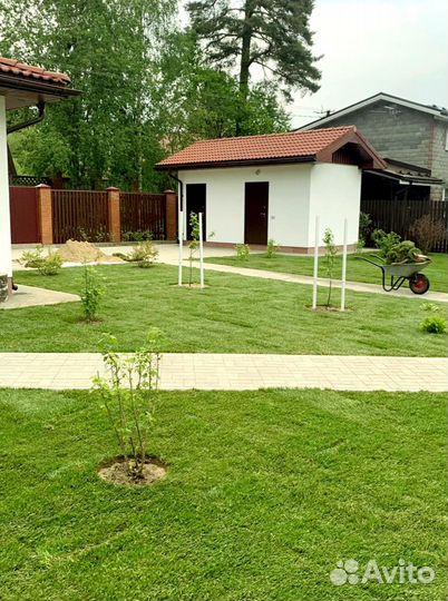 Рулонный газон