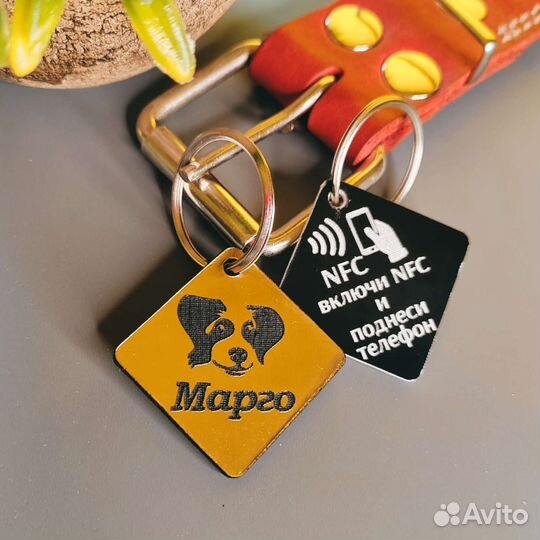 Адресник / жетон для собак