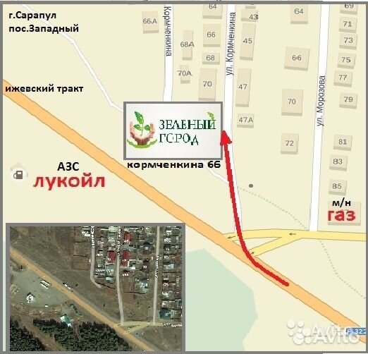Декоративные деревья Кустарники Многолетние цветы