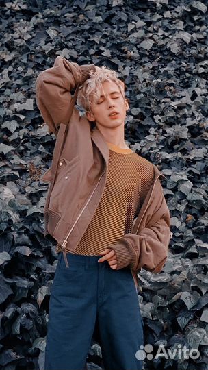 Troye sivan винил