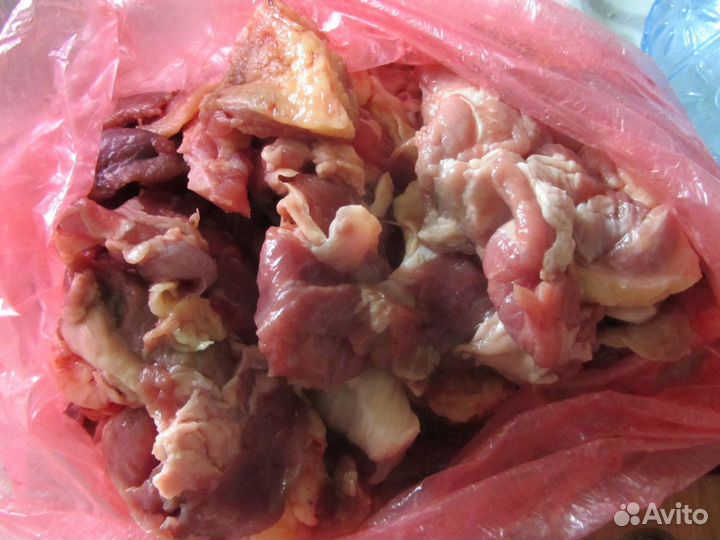 Как выглядит мясо собаки Корм для собак мясо купить в Ижевске Животные и зоотовары Авито