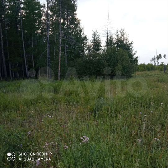 Участок 4 сот. (ИЖС)