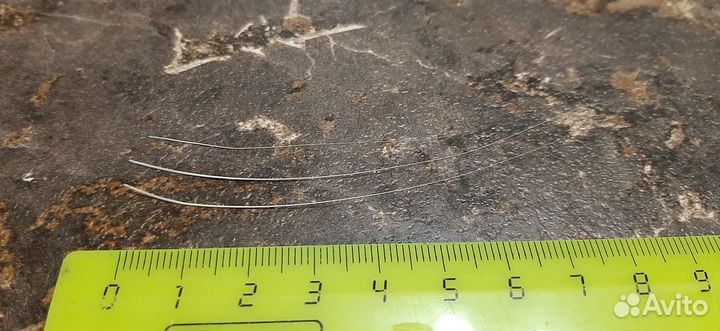 Ус кота, белый, натуральный