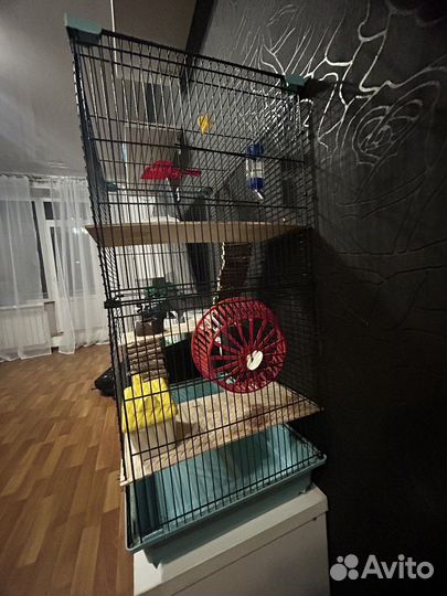 Клетка для шиншиллы бу