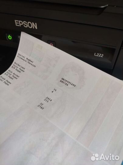 Цветной Epson L222 с заводской снпч