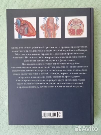 Анатомия человека 