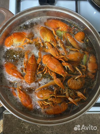 Раки вареные