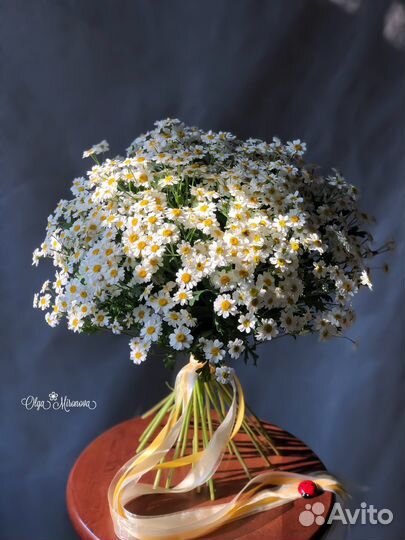 Ромашки букет цветы