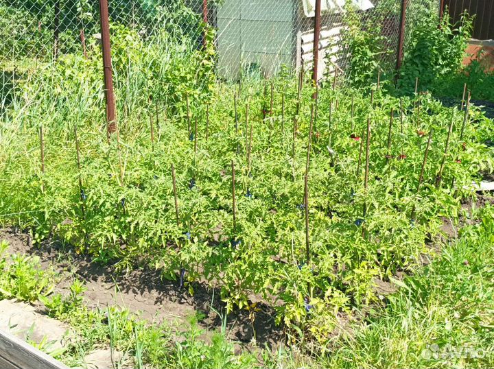 Корм для скота