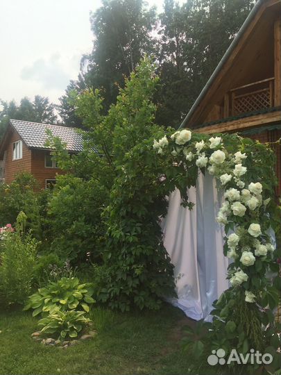 Свадьба под ключ