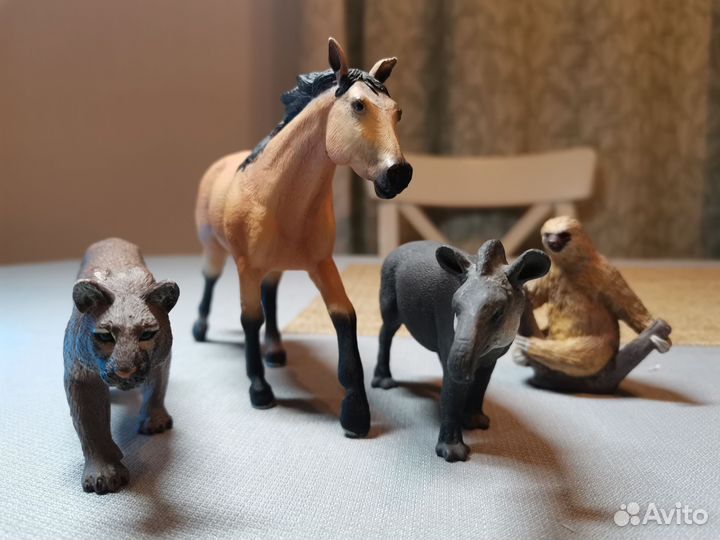 Mojo (Animal Planet): лошадь, ленивец, пума, тапир