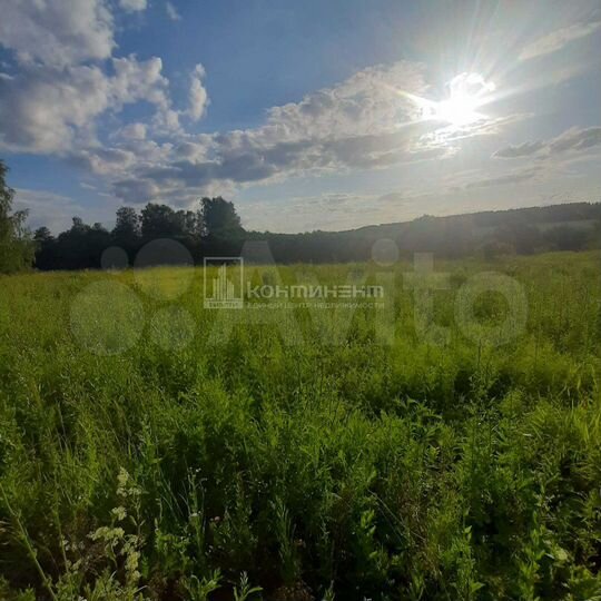 Участок 16,5 сот. (СНТ, ДНП)