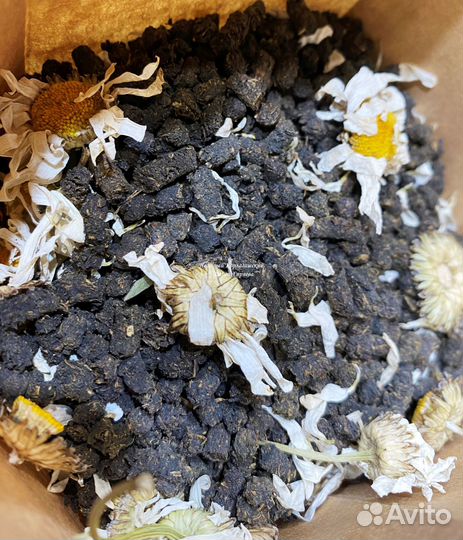 Иван-чай крупнолистовой сертифицированный