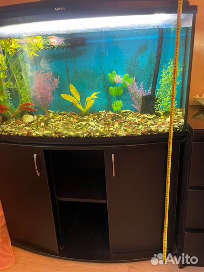 Панорамный аквариум aquael 180л